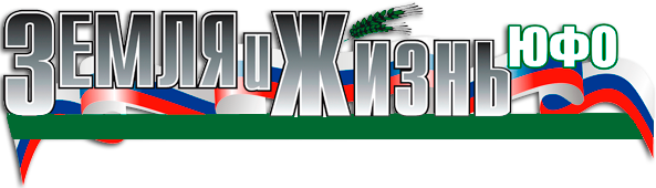 Главная