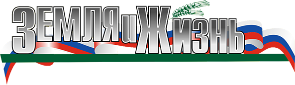 Главная